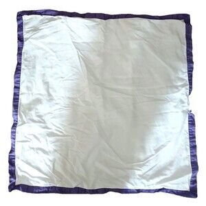Serena & Lily Euro Sham White with Hydrangea Purple Trim 25x25